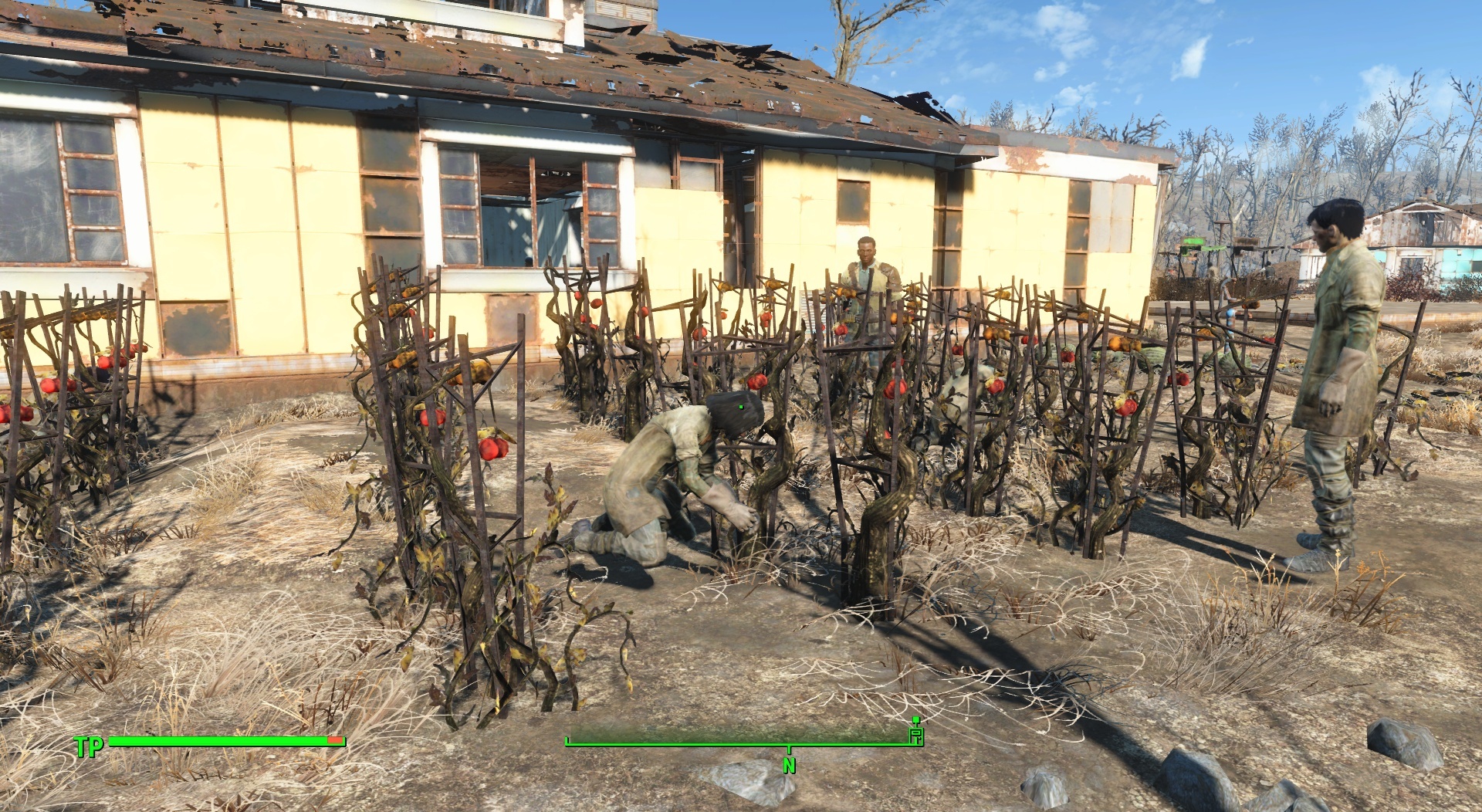 Für die Nahrungsversorgung benötigen wir in Fallout 4 nur 4 Siedler.